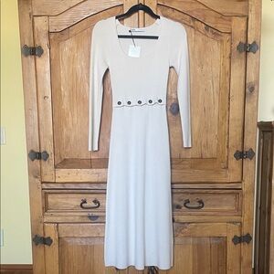 Zara Knit Dress With Buttons